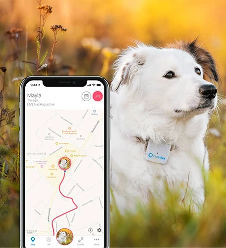gps-tab-02
